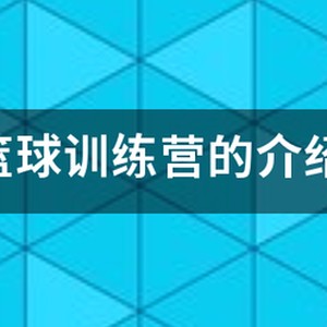 求NBA 的训练方法